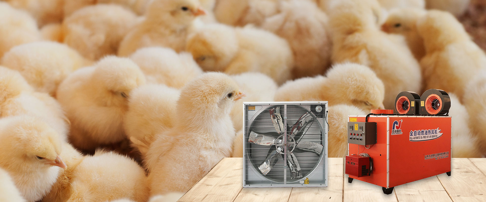 China Exhaust Fan